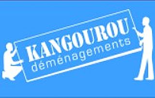 logo entreprise demenagement